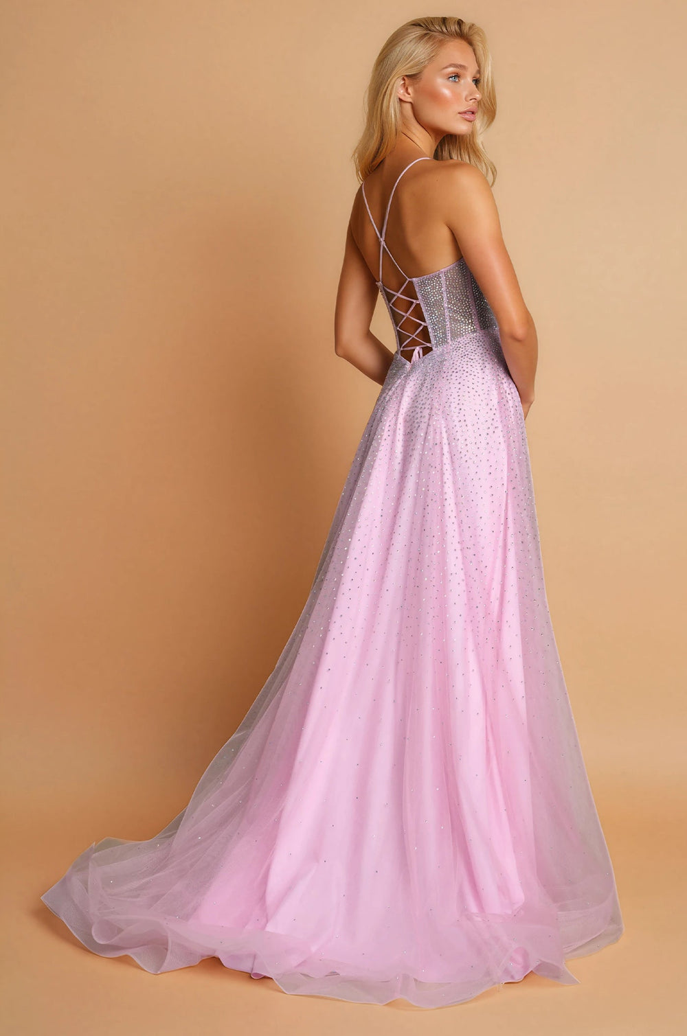 Prom Dresses Long Pink Prom Sexy Ball Gown Dress Pink