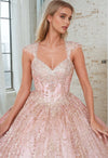 Long Quinceanera Dress Ball Gown